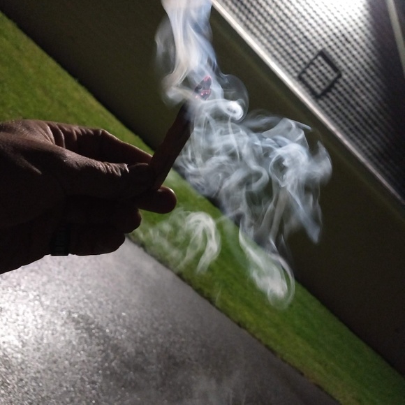 Meet your Posher, Tarik - Picture 5 of 8